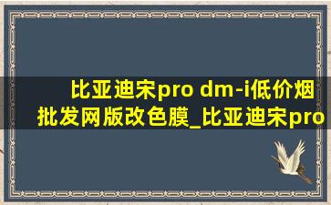 比亚迪宋pro dm-i(低价烟批发网)版改色膜_比亚迪宋pro dm-i(低价烟批发网)版如何开启引擎盖